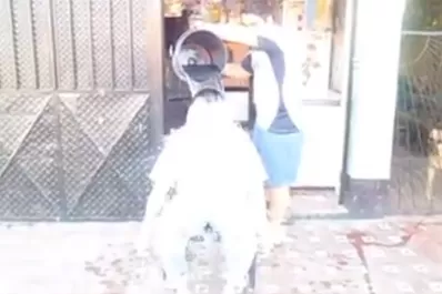 Un grupo de tucumanos retó al Ratón Ibáñez al  Ice Bucket Challenge