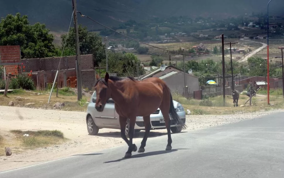  la gaceta / foto de osvaldo ripoll (archivo)