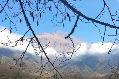 La naturaleza regala un tesoro que vale la pena descubrir