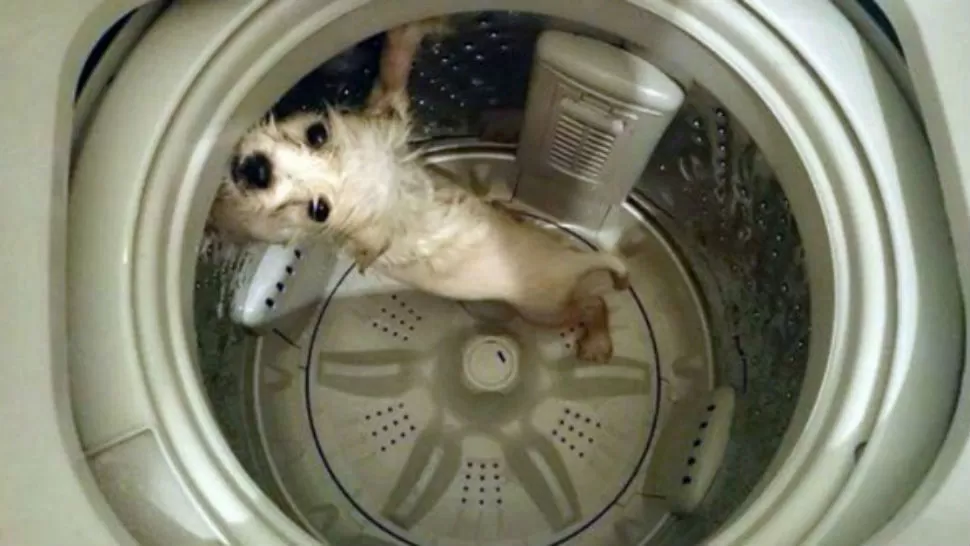 IMAGEN TOMADA DE FACEBOOK.COM