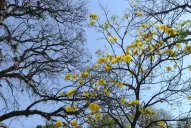 Una plaza de barrio Sur renace con nuevos juegos y una fuente