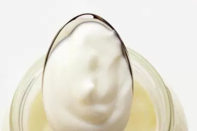 Lanzan un yogur probiótico tucumano