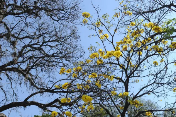 Una plaza de barrio Sur renace con nuevos juegos y una fuente