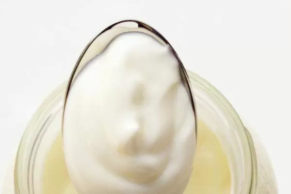 Lanzan un yogur probiótico tucumano