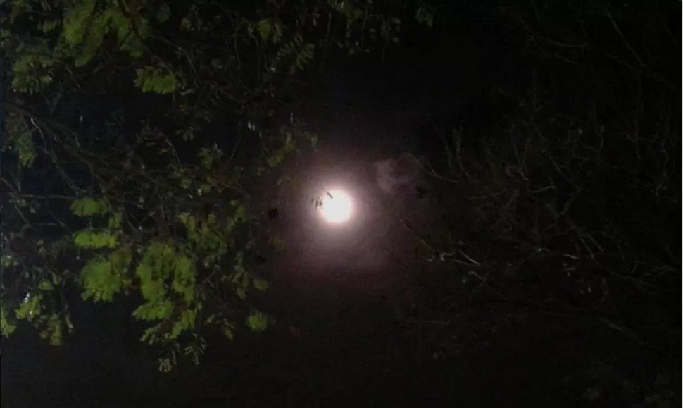 FOTO DE TWITTER.COM/ARSPINOZA