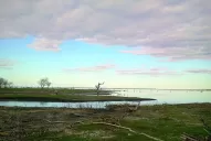 El Zorro vuelve a dar la nota