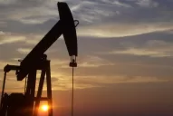 El Gobierno promueve que Argentina es la nueva Arabia Saudita