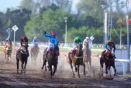 Such A Prince, el nuevo rey de los potrillos