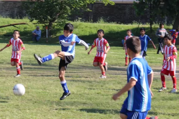 Sorpresas al por mayor