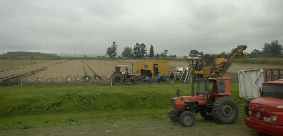 PROBLEMAS COMUNES. Los productores enfrentan momentos de degradación de precios, advirtieron los técnicos. la gaceta / FOTO DE OSVALDO RIPOLL 