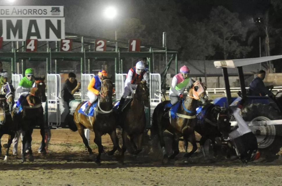 ¡LARGARON! Mr. Crazy Wells no tuvo una buena largada y tiró a su jinete Dánte Córdoba en el “Batalla”. El jockey, que fue asistido por la gente que trabaja en las gateras, sólo sufrió un golpe en la mano. LA GACETA / FOTOS DE ANTONIO FERRONI