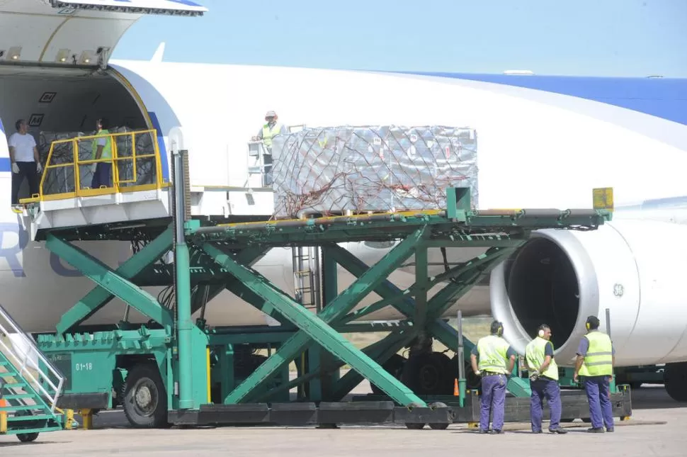 MERCADOS INTERNACIONALES. Se realizó ayer el primer vuelo con arándanos frescos del año desde el aeropuerto local Benjamin Matienzo. LA GACETA / FOTO DE ANTONIO FERRONI