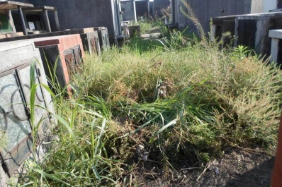 Un cementerio de Lastenia muestra una imagen deplorable