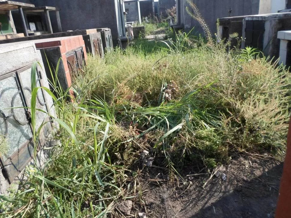 Un cementerio de Lastenia muestra una imagen deplorable