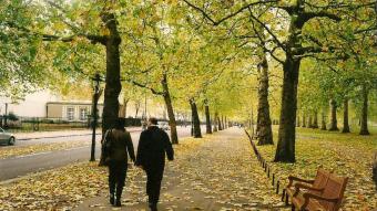 Silent Friday: De la mano recibimos el otoño en Londres