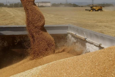 La biotecnología a mano, ante la falta de agua