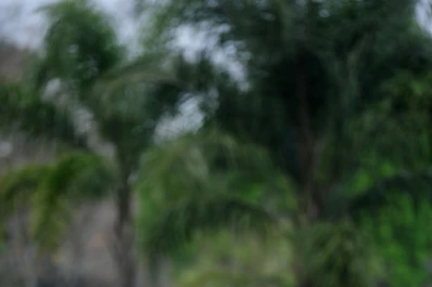 Las fallas lo dejaron afuera