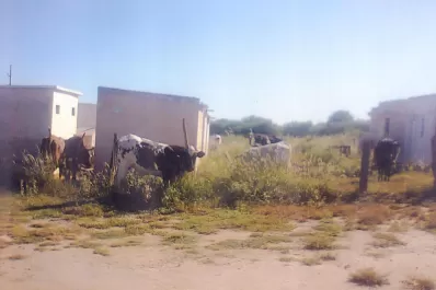 ›› Cartas de lectores