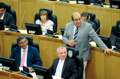 Nuevo intento para conseguir la re-re de los legisladores