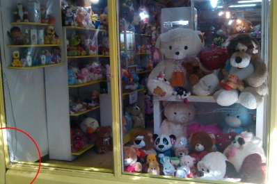 Le rompieron la vidriera y le robaron peluches valuados en unos $ 1.500