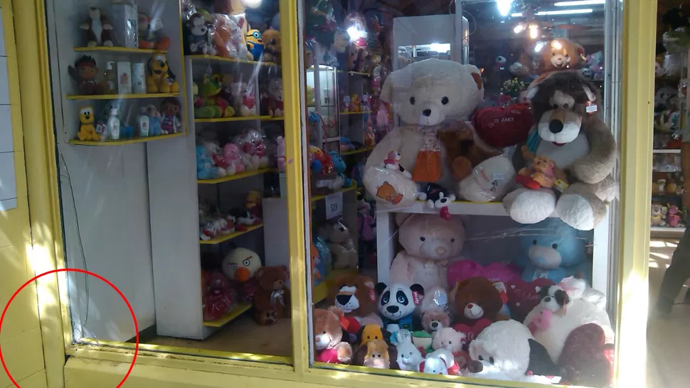 Le rompieron la vidriera y le robaron peluches valuados en unos $ 1.500