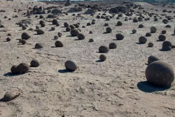 San Juan: Hallan un área con fósiles desconocidos de 200 millones de años