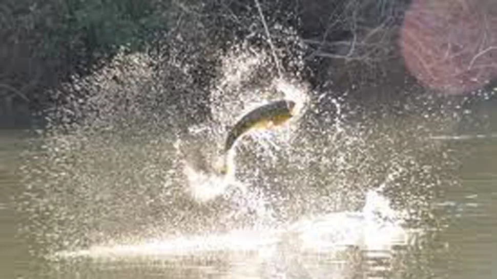 SIN REDES. Sólo está autorizada la pesca deportiva, con devolución de ejemplares. FOTO ARCHIVO