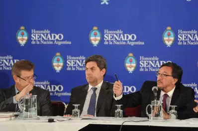 El Senado retoma el análisis del Código Procesal Penal y lo trata en dos semanas