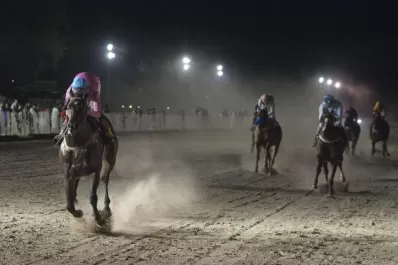 Spidery demuele rivales