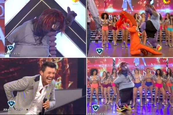 El Oso Arturo volvió a 'ShowMatch'