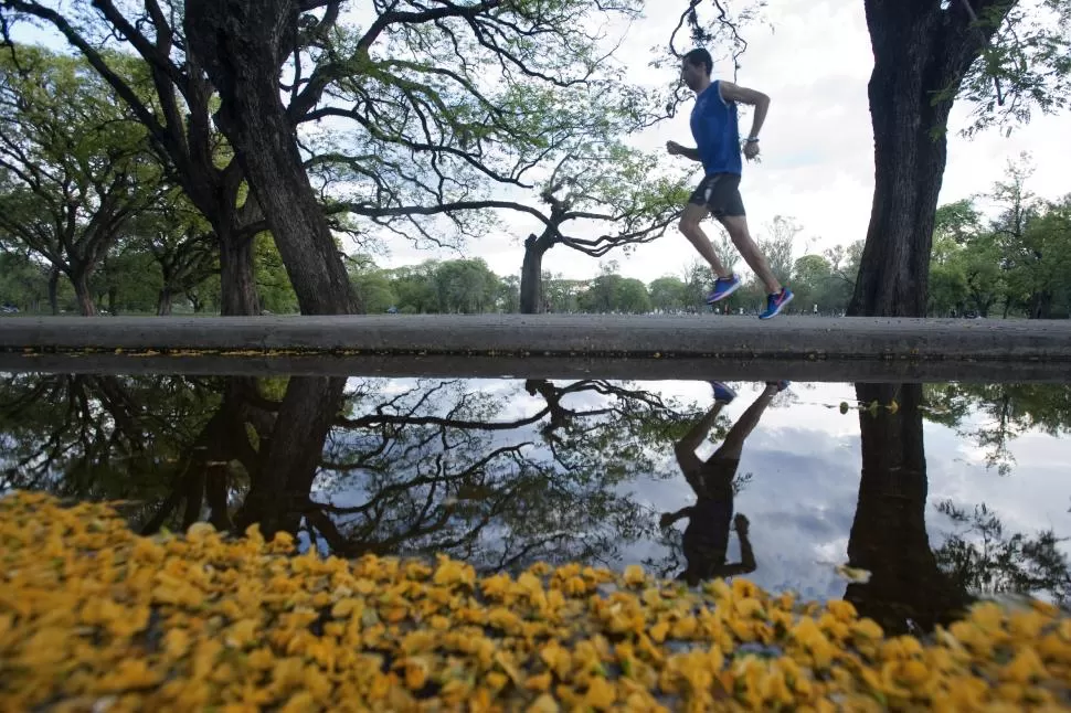 GASTANDO ZAPATILLAS. Briga entrena seis veces por semana en el parque 9 de Julio, donde realiza rutinas de velocidad y de resistencia. LA GACETA / FOTO DE DIEGO ARÁOZ