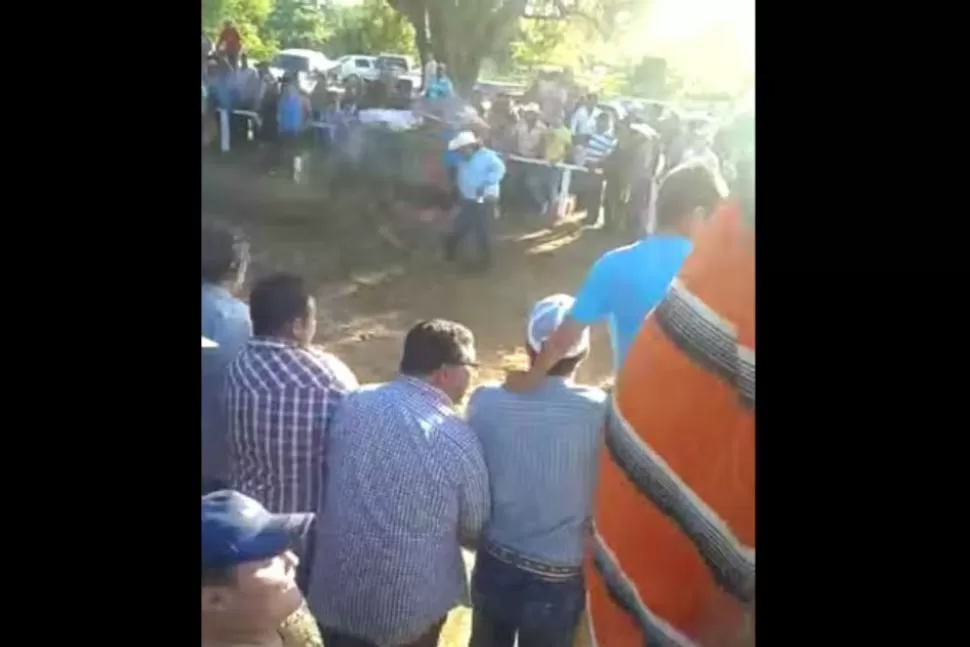 Entró a la pista a celebrar que su caballo había ganado y murió atropellado