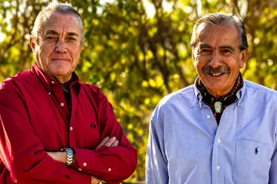 “Volvió el 50%, pero suena como el 80%”