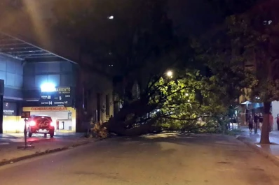 Fuertes ráfagas, árboles caídos y granizo en Tucumán, tras un día caluroso