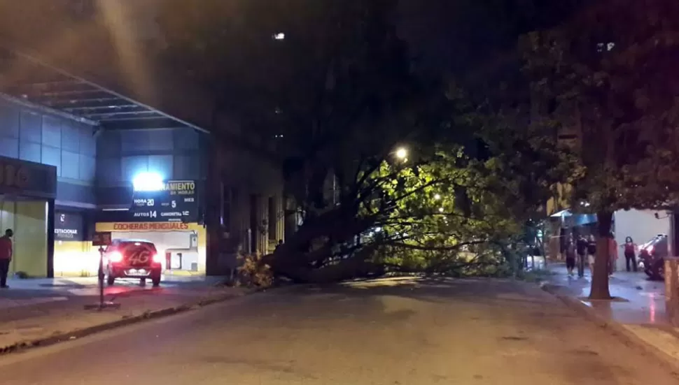 Fuertes ráfagas, árboles caídos y granizo en Tucumán, tras un día caluroso