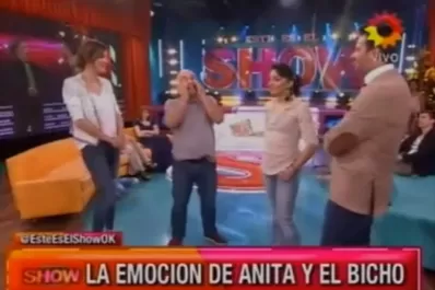 Campeones del Bailando 2014: Anita y el Bicho se quebraron en 'Este Es El Show'