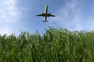 Avances en un biocombustible para los aviones
