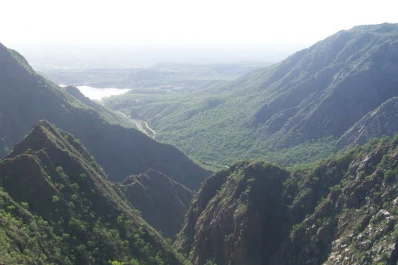 Liberan en La Rioja a una hembra adulta de condor andino