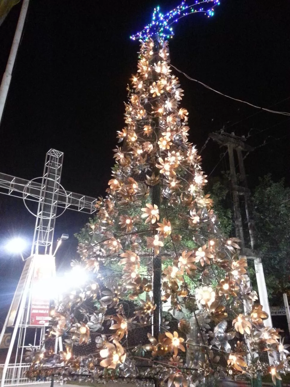 RECICLADO. El árbol de la paz. la gaceta / foto de alberto elsinger