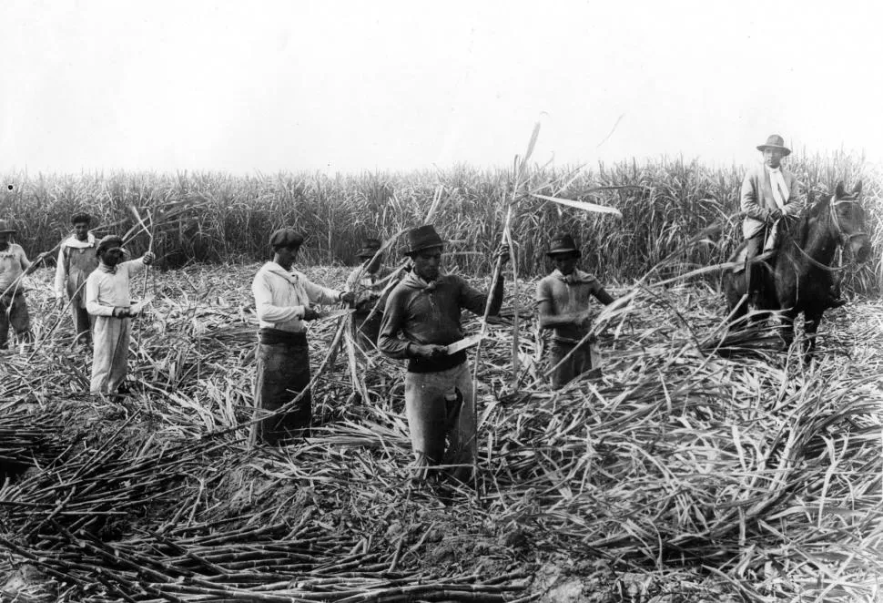 FINES DEL SIGLO XIX. El fotógrafo captó a los obreros pelando caña, bajo la atenta mirada de un capataz a caballo, en una finca de Tucumán. la gaceta / archivo