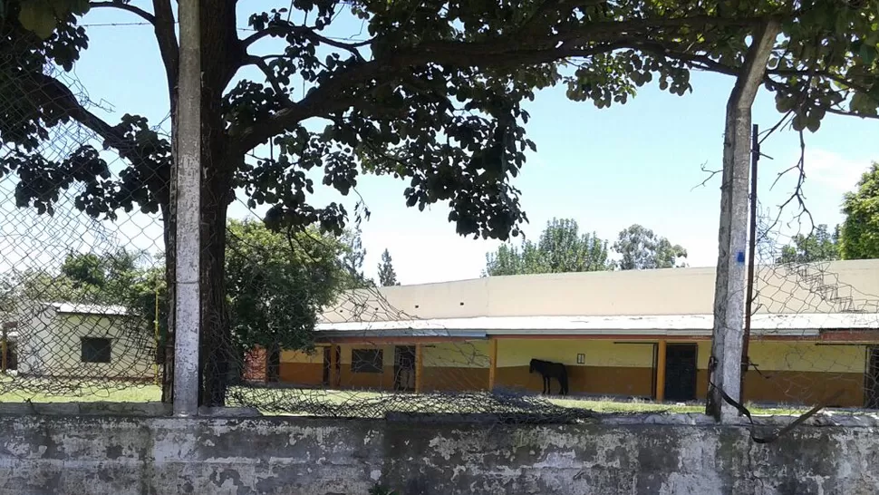 Un caballo utiliza la galería de una escuela para protegerse del sol del verano