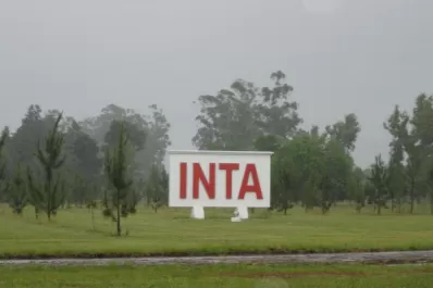 “Pampero TV” es el nuevo programa que lanzó el INTA