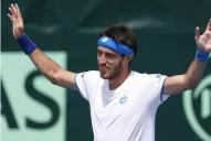 Mayer: jugar sin Del Potro es como jugar sin Messi