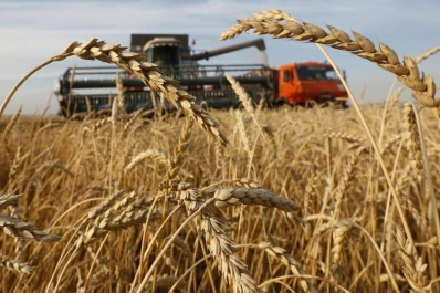 Fuerte presión impositiva sobre el cultivo de granos