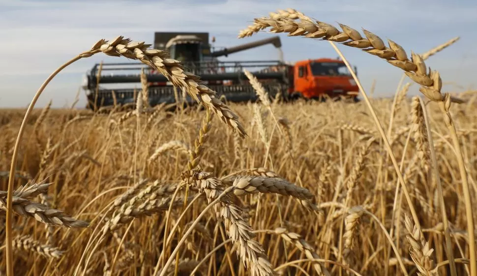 CIFRAS. Por cada 100 pesos que produce una hectárea agrícola, en granos finos o gruesos, 83,4 pesos se los lleva el Estado, asegura FADA. reuters