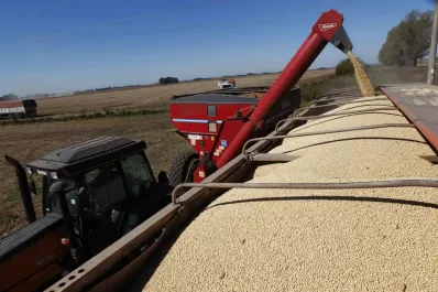 Un año marcado por la baja del precio de materias primas