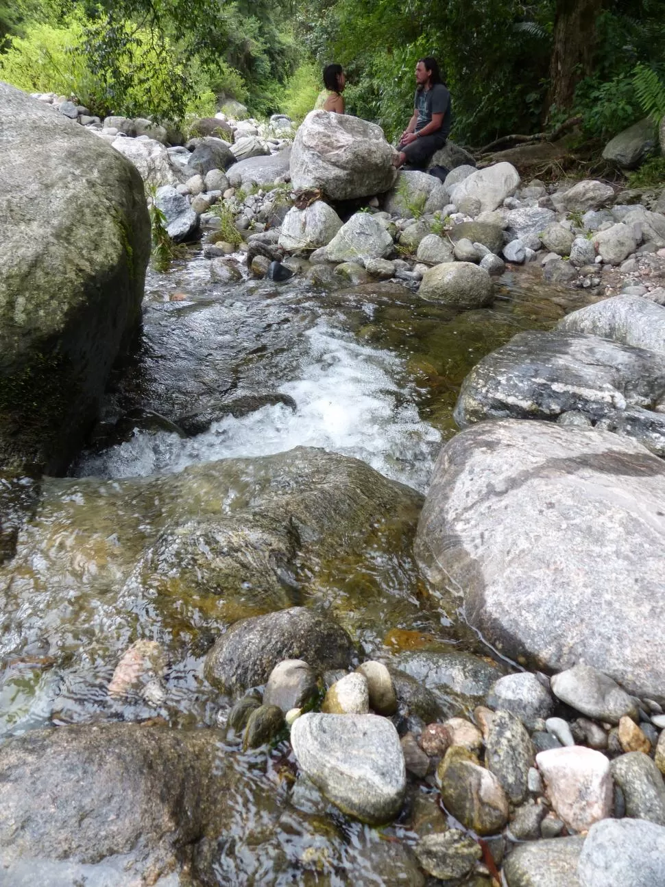 CAMPO DE LOS ALISOS. La diversidad del bosque y la selva de montaña habitan este parque nacional ideal para hacer trekking y respirar aire puro. la gaceta / fotos de osvaldo ripoll 