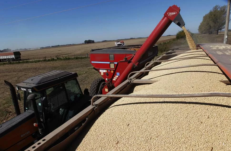 BAJA. Los precios de las materias primas que exporta la Argentina cayeron un 17% en los últimos dos años. reuters