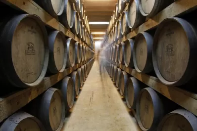 Identifican levaduras que evitan el deterioro del vino