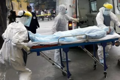 La OMS registra casi 8.000 muertes por ébola